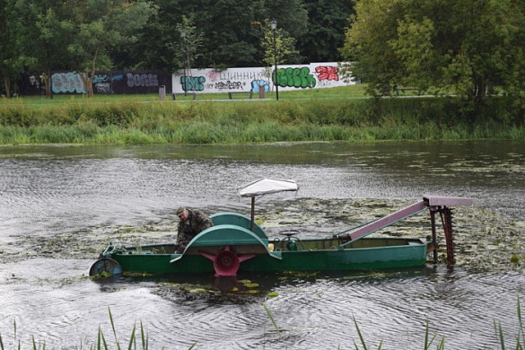 В Иванове для красоты косят водоросли в Уводи 